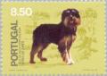 Colnect-175-125-Portuguese-Shepherd-Canis-lupus-familiaris-Serra-de-Aires.jpg