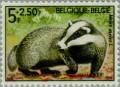 Colnect-185-315-European-Badger-Meles-meles.jpg