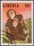 Colnect-1949-120-Chimpanzee-Pan-troglodytes.jpg