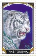 Colnect-3261-551-Siberian-Tiger-Panthera-tigris-altaica---Albino.jpg