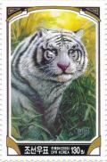 Colnect-3261-552-Siberian-Tiger-Panthera-tigris-altaica---Albino.jpg
