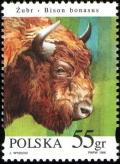 Colnect-3808-700-European-Bison-Bison-bonasus.jpg