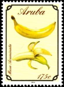 Colnect-3776-366-Banana-Musa-acuminata.jpg