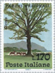 Colnect-171-482-Fallow-Deer-Dama-dama-and-Tree-in-the-Park-of-Monte-Circeo.jpg