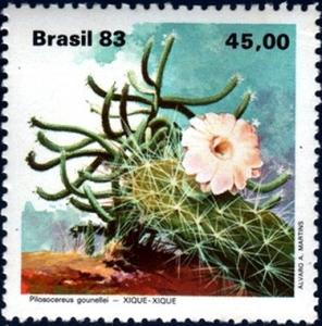 Colnect-2309-291-Brazilian-Flora---Xique-Xique.jpg