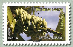 Colnect-1047-667-bananas-Indonesia.jpg