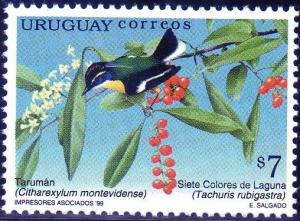 Colnect-1266-044-Many-colored-Rush-tyrant-Tachuris-rubrigastra-Fiddlewood-.jpg