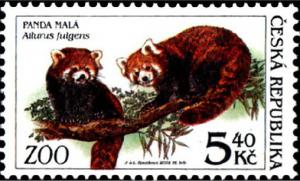 Colnect-1448-295-Red-panda-Ailurus-fulgens.jpg