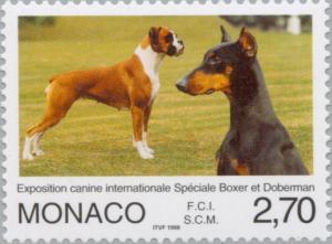 Colnect-149-956-German-Boxer-Doberman-Pinscher-Canis-lupus-familiaris.jpg