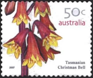 Colnect-1521-928-Tasmanian-Christmas-Bell.jpg