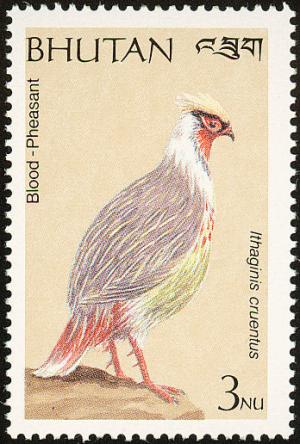 Colnect-1720-382-Blood-Pheasant-nbsp-Ithaginis-cruentus.jpg