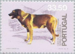 Colnect-175-129-Portuguese-Shepherd-Canis-lupus-familiaris-Serra-da-Estre.jpg