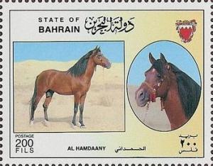 Colnect-1805-976--quot-Al-Hamdaany-quot--Equus-ferus-caballus.jpg