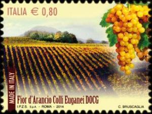Colnect-2415-715-Fior-d-Arancio-Colli-Euganei-DOCG.jpg