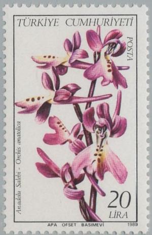 Colnect-2588-078-Anatolian-Orchid.jpg