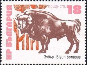 Colnect-2614-858-European-Bison-Bison-bonasus.jpg