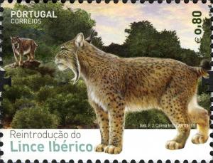 Colnect-2750-074-Iberian-lynx-Lynx-pardinus.jpg