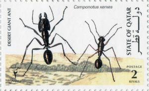 Colnect-2843-121-Desert-Giant-Ant-Camponotus-xerxes.jpg