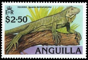 Colnect-2892-523-Lesser-Antillean-Iguana-Iguana-delicatissima.jpg