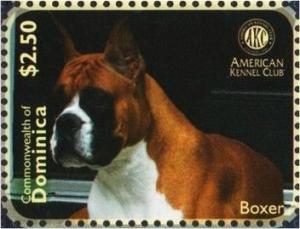 Colnect-3278-362-German-Boxer-and-Window.jpg