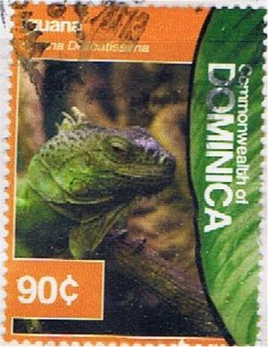 Colnect-3292-719-Lesser-Antillean-Iguana-Iguana-delicatissima.jpg