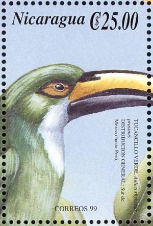 Colnect-3803-040-Emerald-Toucanet-Aulacorhynchus-prasinus.jpg