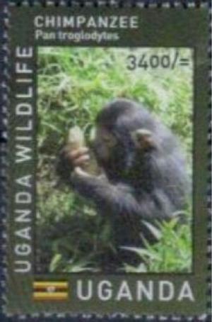 Colnect-4564-315-Ugandan-Wildlife--Primates.jpg