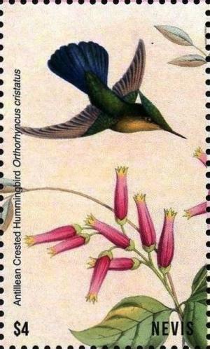Colnect-5164-926-Antillean-crested-hummingbird.jpg