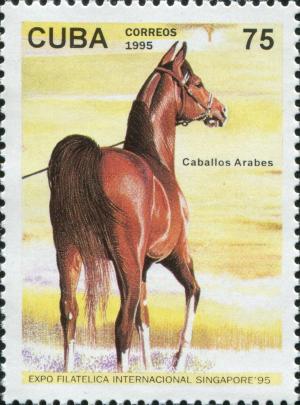 Colnect-5517-362-Chestnut-Arabian-Horse-Equus-ferus-caballus.jpg