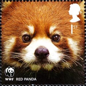 Colnect-911-035-Red-Panda-Ailurus-fulgens.jpg