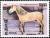 Colnect-2142-482-Andalusian-Equus-ferus-caballus.jpg