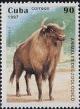 Colnect-1060-783-European-Bison-Bison-bonasus.jpg