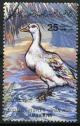 Colnect-1921-587-Domestic-Duck-Anas-platyrhynchos-domesticus.jpg