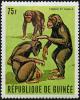 Colnect-2035-559-Chimpanzee-Pan-troglodytes.jpg