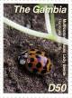 Colnect-3611-919-Multicolored-Asian-Lady-Beetle-Harmonia-axyridis.jpg