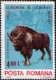 Colnect-4748-668-European-Bison-Bison-bonasus.jpg