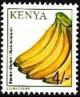 Colnect-5778-766-Banana-Musa-acuminata.jpg