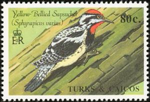 Colnect-1764-353-Yellow-bellied-Sapsucker-nbsp-Sphyrapicus-varius.jpg