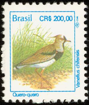 Colnect-1976-328-Southern-Lapwing-Vanellus-chilensis.jpg