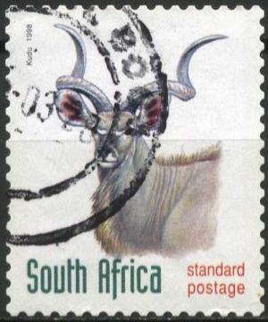 Greater-Kudu-Tragelaphus-strepsiceros.jpg