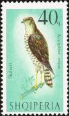 Colnect-1156-570-Eurasian-Sparrowhawk%C2%A0Accipiter-nisus.jpg
