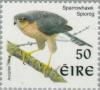 Colnect-129-472-Eurasian-Sparrowhawk-Accipiter-nisus.jpg