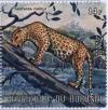 Colnect-1324-061-Leopard-Panthera-pardus.jpg