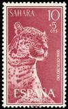 Colnect-1397-780-Leopard-Panthera-pardus.jpg