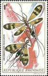 Colnect-1542-704-Wasp-Archibracon-fasciatus.jpg