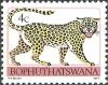 Colnect-2321-267-Leopard-Panthera-pardus.jpg