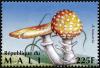 Colnect-2607-011-Fly-Agaric-Amanita-muscaria.jpg