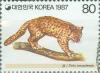 Colnect-2770-472-Asian-Leopard-Cat-Felis-Bengalensis.jpg