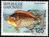 Colnect-2783-327-Guinean-Parrotfish-Scarus-hoefleri.jpg