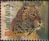Colnect-3372-440-Leopard-Panthera-pardus.jpg